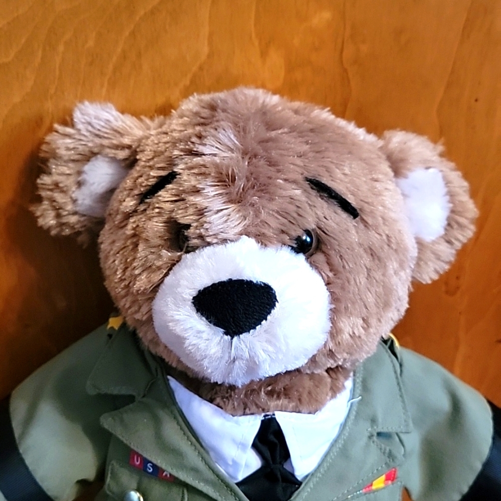 Build A Bear Bearemy Military USA Dress Uniform Stuffed Plush Animal Brown Toy - Picture 2 of 5